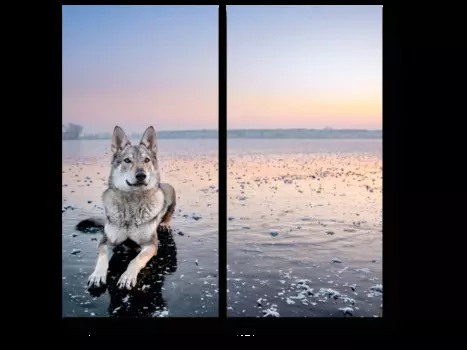 Модульная картина Picsis