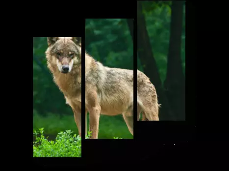 Модульная картина Picsis