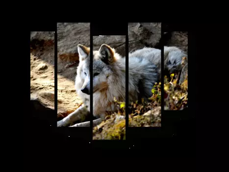 Модульная картина Picsis