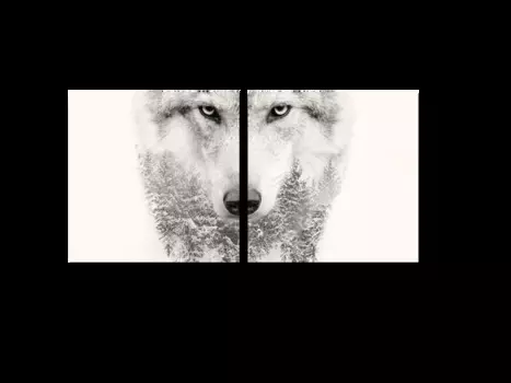 Модульная картина Picsis