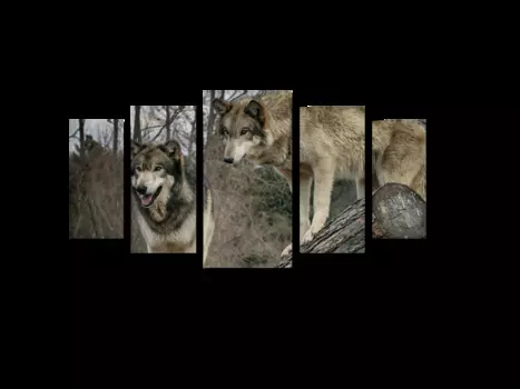 Модульная картина Picsis