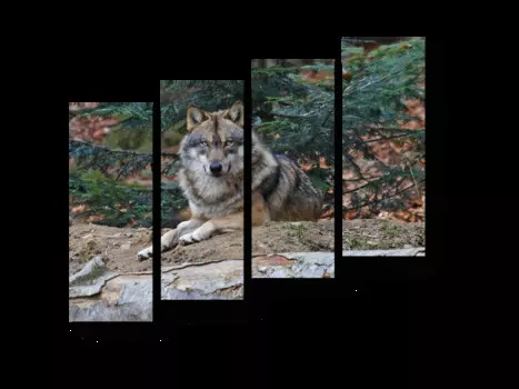 Модульная картина Picsis