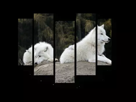 Модульная картина Picsis