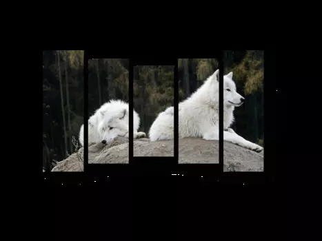 Модульная картина Picsis