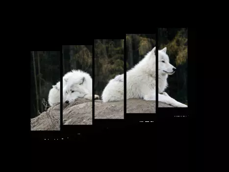 Модульная картина Picsis