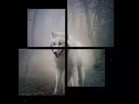 Модульная картина Picsis