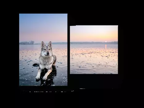 Модульная картина Picsis