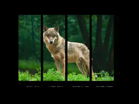 Модульная картина Picsis