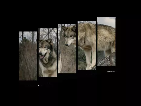 Модульная картина Picsis