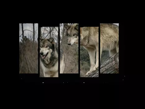 Модульная картина Picsis