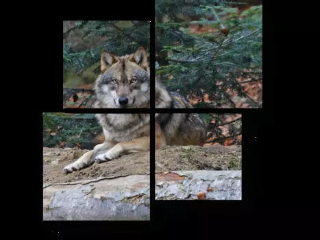 Модульная картина Picsis