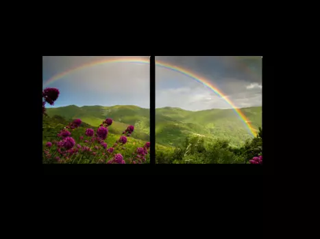 Модульная картина Picsis