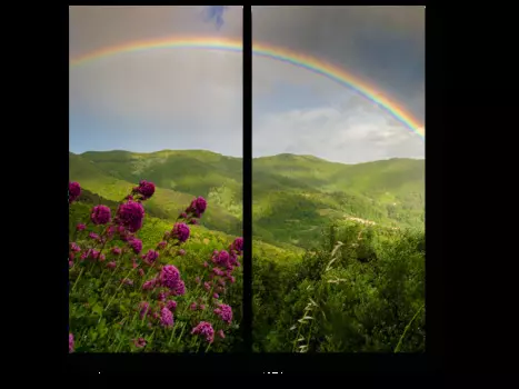 Модульная картина Picsis