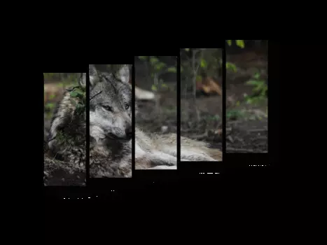 Модульная картина Picsis