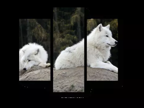 Модульная картина Picsis