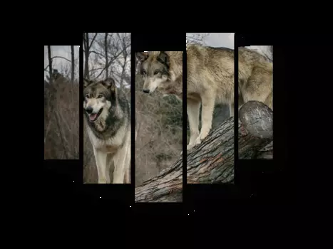 Модульная картина Picsis