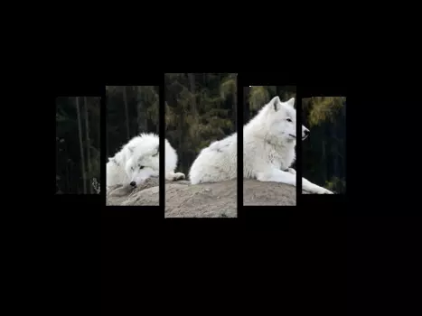 Модульная картина Picsis