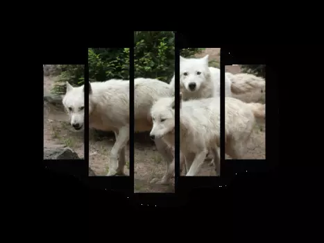 Модульная картина Picsis