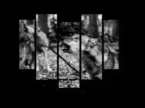 Модульная картина Picsis