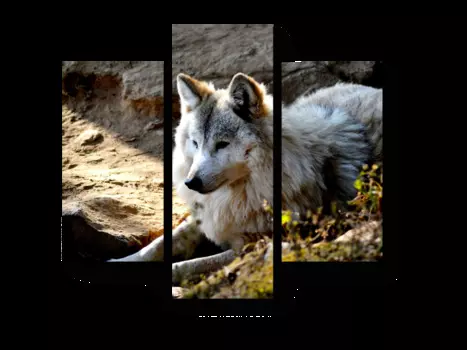 Модульная картина Picsis