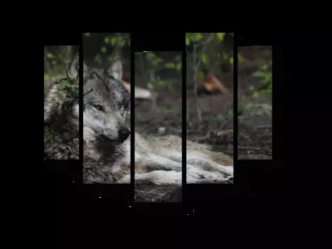 Модульная картина Picsis