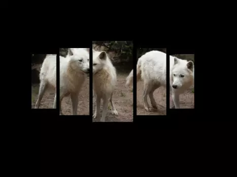 Модульная картина Picsis