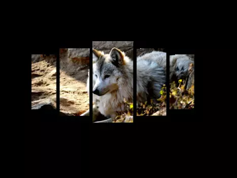 Модульная картина Picsis