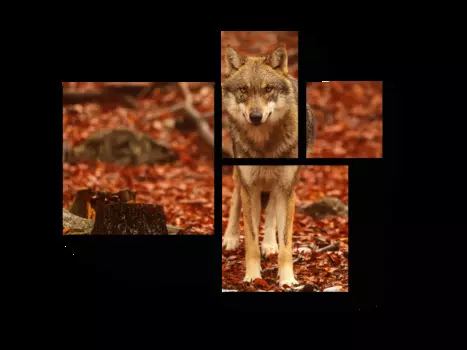 Модульная картина Picsis