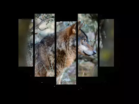 Модульная картина Picsis