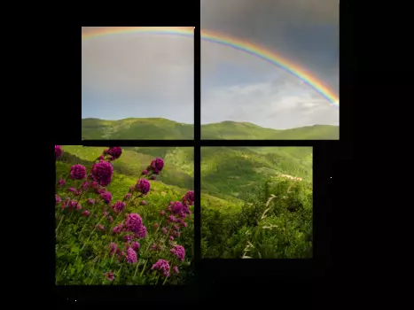 Модульная картина Picsis