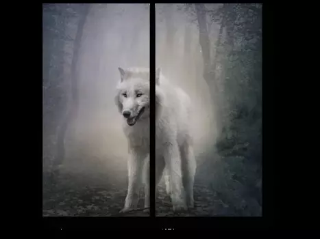 Модульная картина Picsis