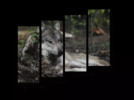 Модульная картина Picsis