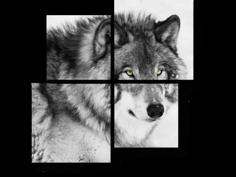 Модульная картина Picsis