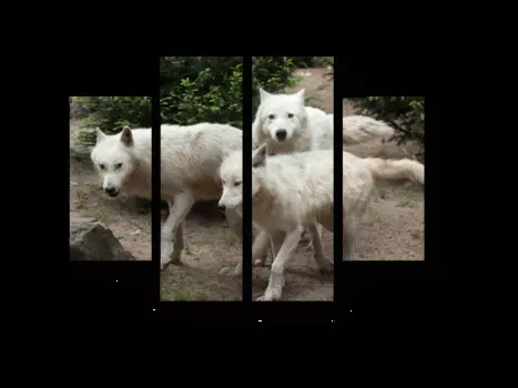 Модульная картина Picsis