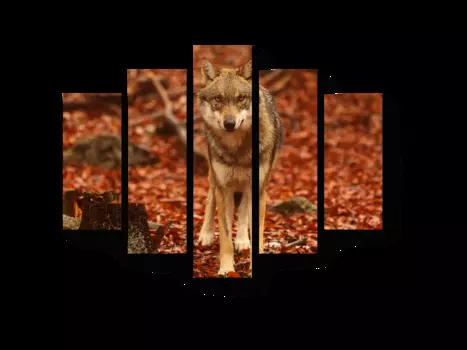 Модульная картина Picsis