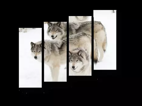 Модульная картина Picsis