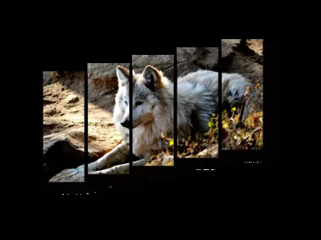 Модульная картина Picsis