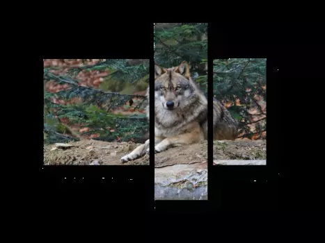 Модульная картина Picsis