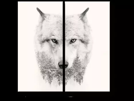 Модульная картина Picsis