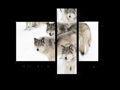 Модульная картина Picsis