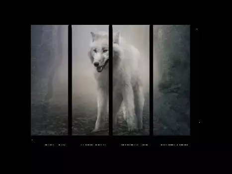 Модульная картина Picsis