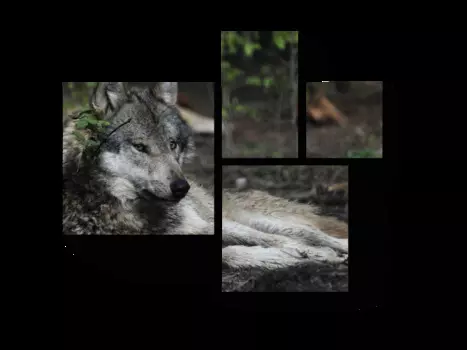 Модульная картина Picsis