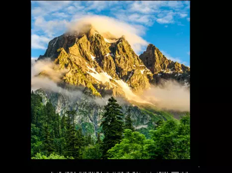 Модульная картина Picsis