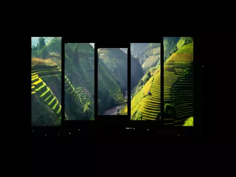 Модульная картина Picsis