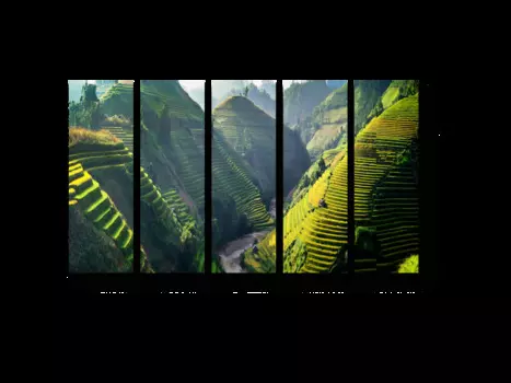 Модульная картина Picsis