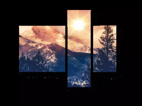 Модульная картина Picsis