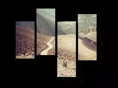 Модульная картина Picsis