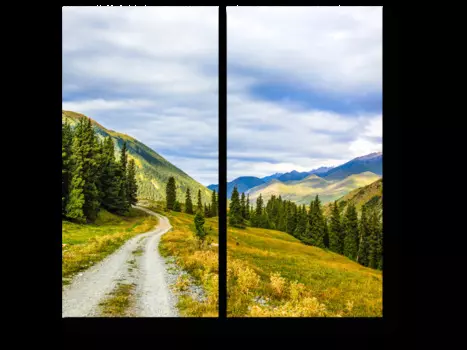 Модульная картина Picsis