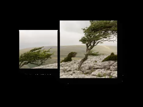 Модульная картина Picsis