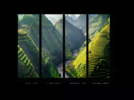 Модульная картина Picsis